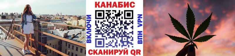 Бошки марихуана OG Kush  Чегем 